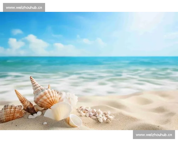 以表现平平为起点重新审视价值与潜力的现实启示意义与路径思考