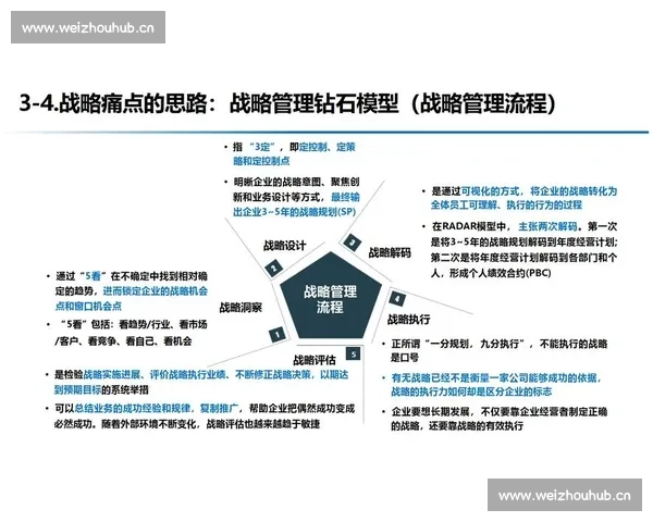 从战略到执行的企业转型实践案例深度解析与启示创新成长路径方法论